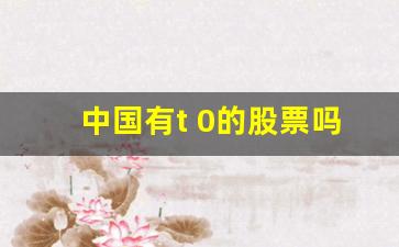 中国有t 0的股票吗(中国有t+0交易吗)_https://www.gzyhshgzzx.com_中金所_第1张